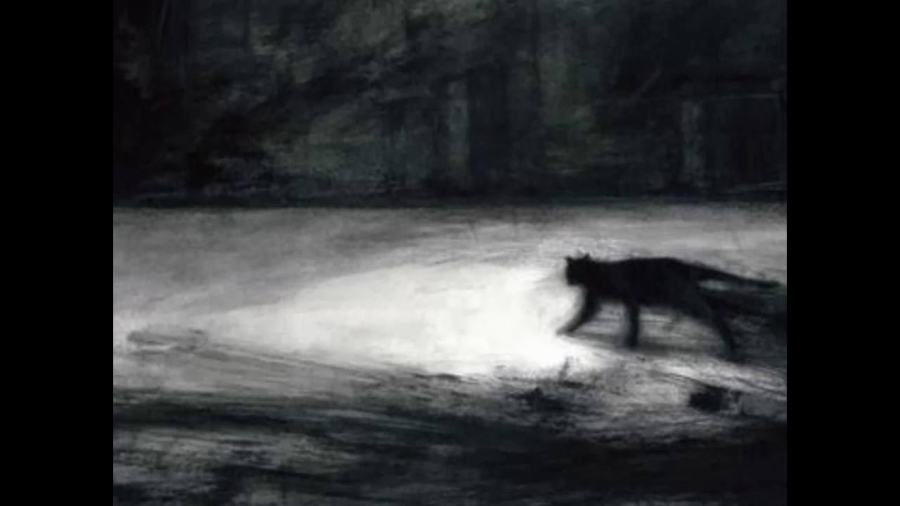 Earl Scruggs Rock, Salt and Nails YouTube