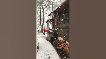 تلاوه خاشعه تريح القلوب من سورة الكهف 🌷🌹❤️