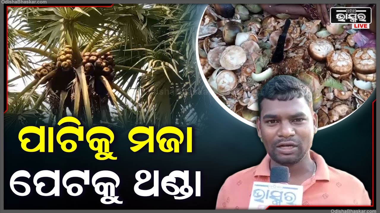 ଉଦୁଉଦିଆ ଖରାରୁ ତ୍ରାହି ଦେଉଛି ତାଳସଜ Iପାଟିକୁ ମଜା ସହ ପେଟକୁ କରୁଛି ଥଣ୍ଡା, କିଣିବା ପାଇଁ ଗ୍ରାହକଙ୍କ ଲାଗିଛି ଭିଡ଼