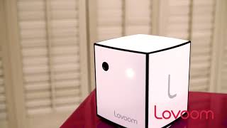 Lovoom CatchMe | Playful pet cam you must have | interactive pet camera screenshot 5