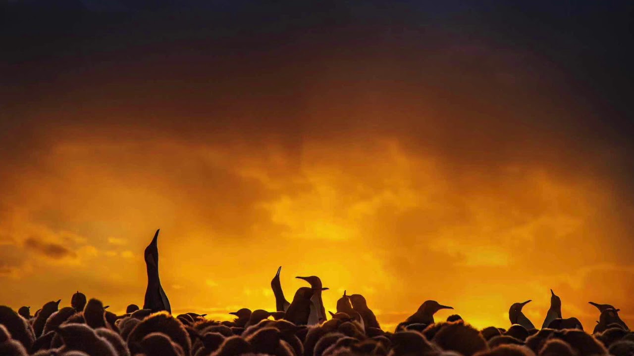 Drum & Bass Mix - April 2020 - Spring Time Funk