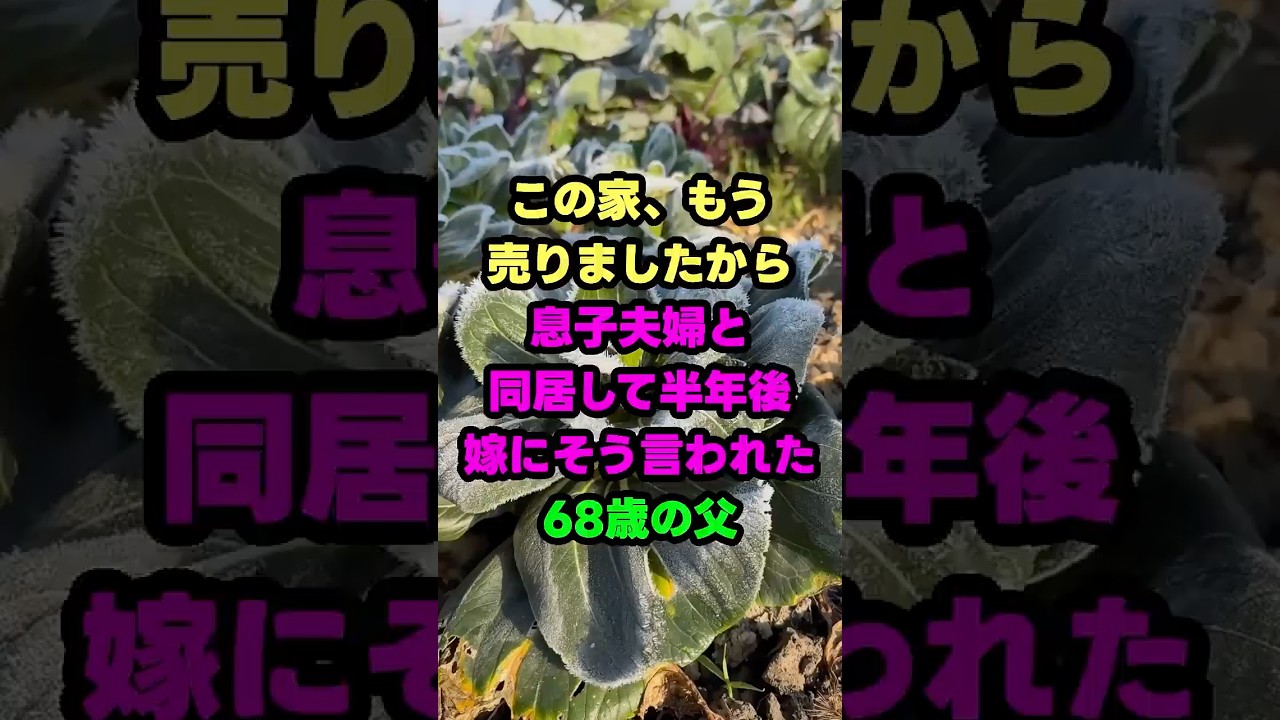 同居した息子夫婦に家を奪われた父
