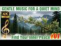 🎵 Gentle Music for a Quiet Mind 💙 Find Your Inner Peace #music01