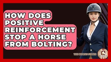How Does Positive Reinforcement Stop A Horse From Bolting? - The Horses Stable