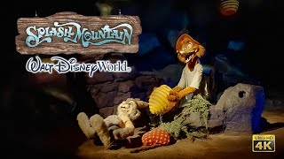 Splash Mountain On Ride Front Seat Low Light 4K POV with Queue Walt Disney World 2023 01 03