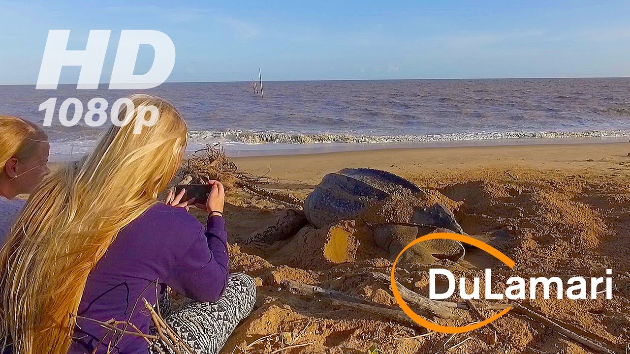 Drone flight: Diana strand, Braamspunt Suriname 2016