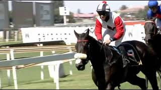 CELESTIAL LOVE - 2021 WORLD SPORTS BETTING MAN O WAR SPRINT (Grade 3)