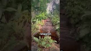 EL PARQUE TEMATICO MAS ATERRADOR!!