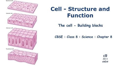 Class 8- Science-Chapter 8 – Cell : Structure And Function - Part02- The Cell #NCERT #Kannada