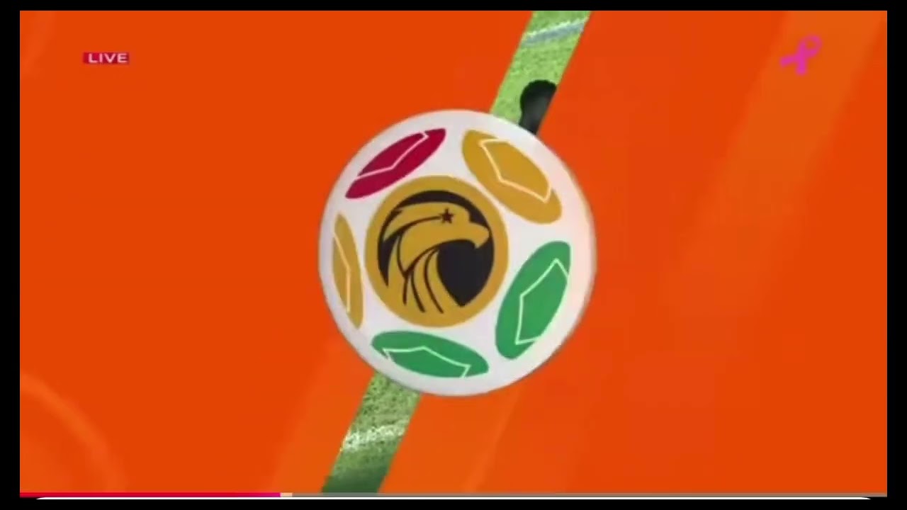 A dynamic forward combining speed, power, strength and skills. 