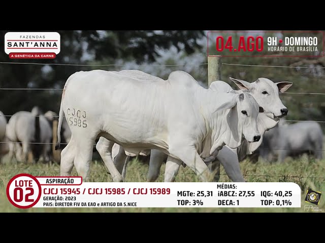 LOTE 02   PACOTE DE ASPIRAÇÃO