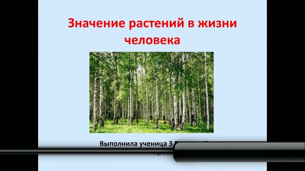 Проект значение растений в жизни человека Методическая разработка к уроку по биологии 5 класса "Значение растений в природ