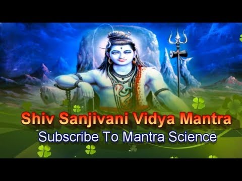 Powerful Shiv Amrit Sanjivani Mantra  Narayan Dutt Shrimali