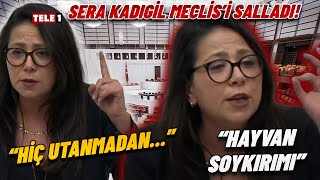 Sera Kadıgil'den Meclis'te tarihi konuşma! AKP sıralarını işaret etti: Hiç barınağa gittiniz mi?