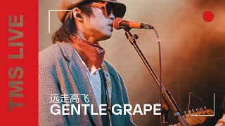 Gentle Grape - 远走高飞 (Live at MAO Livehouse Shanghai)