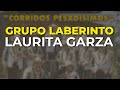 Grupo laberinto  laurita garza audio oficial