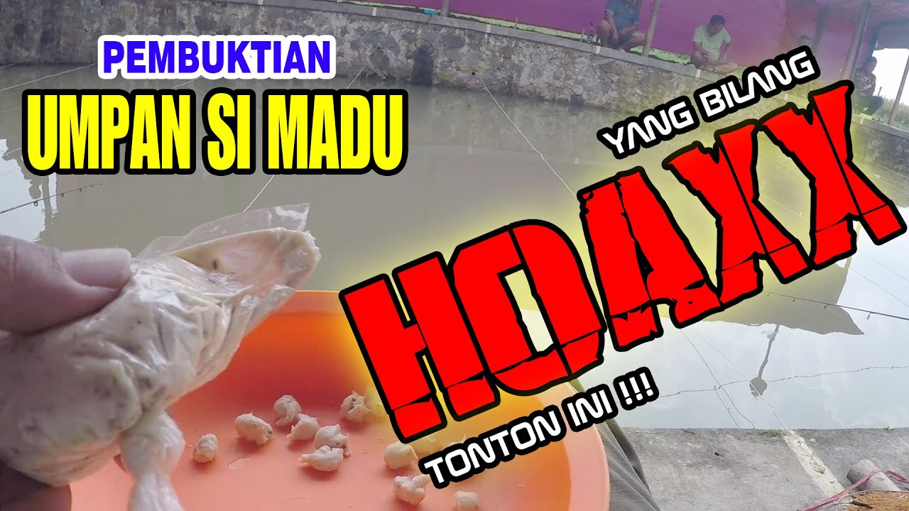 MASIH UMPAN PUTIH KUKUS SI MADU, PEMBUKTIAN BIKIN LAPAK TETANGGA  MOGOK MAKAN