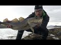 ВОТ ЭТО ВЫШЕЛ ВЕЧЕРКОМ!😲КЛЮЁТ ОДНА ЗА ОДНОЙ!Рыбалка в Норвегии с берега! Треска, Люр.