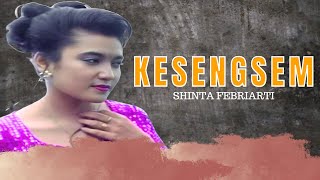 Karaoke - Kesengsem - Shinta Febriarti (Official Video Karaoke ANEKA SAFARI)