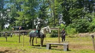 Sir Tyler & Argis, a new horse, Jousting at Black Rock Medieval Fest