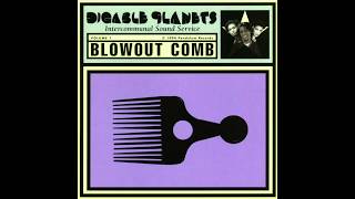 Digable Planets - Black Ego