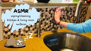 ASMR wiping/cleaning kitchen & living room surfaces w/ spray & cloth/sponge/paper towel. No talking.