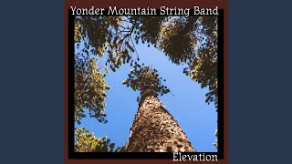 Video-Miniaturansicht von „Yonder Mountain String Band - Mossy Cow“