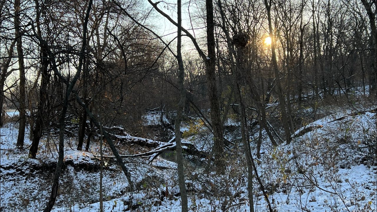 Traditional Bow Hunt Iowa A cold one but I got in with a bunch of