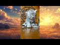 Suara hewan peliharaan || kucing, ayam, domba, sapi, dan banyak lainnya