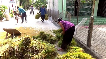 Cuộc sống trong làng Sốc Suôi vào một sáng đẹp trời - Sốc Suôi, Núi Tô, Tri Tôn, An Giang 07/03/2020