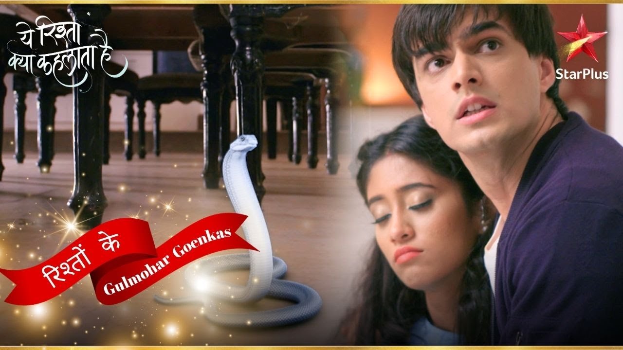साँप देख कर बेहोश हुई Naira! | Yeh Rishta Kya Kehlata Hai