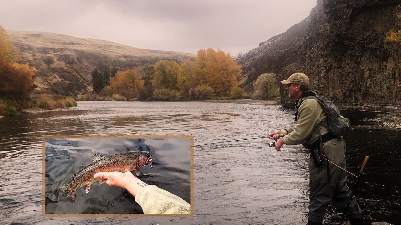 Jigging for Big Trout in Rivers by Bill Herzog – Salmon Trout