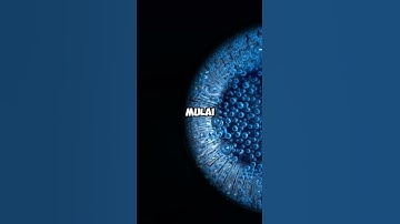 Proses terjadinya gelembung air❗️🧐 #ilmupengetahuanumum ilmupengetahuan #air #gelembung