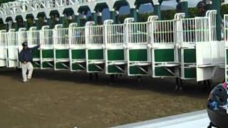 Santa Anita the starting gate