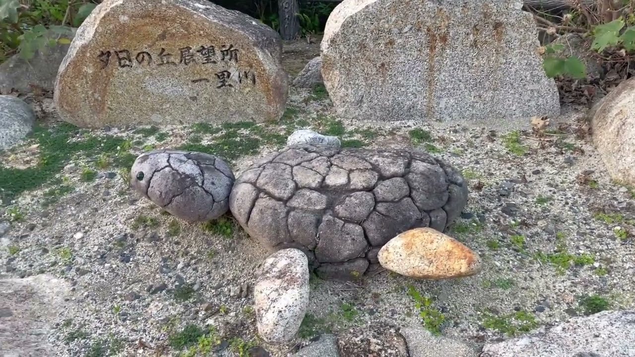 日本一周　釣りの旅　Day 116　屋久島編