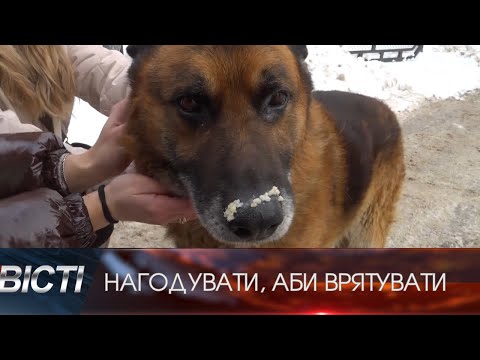 В Івано-Франківську з настанням сильних морозів волонтерки почали розвозити теплу їжу безпритульним