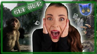 Can you ESCAPE the JUNGLE JUMBLE? | Free Classroom MATH Escape Room | Second Level CfE KS2 screenshot 2