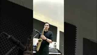 Tiara Andini  Janji Setia saxophone Cover