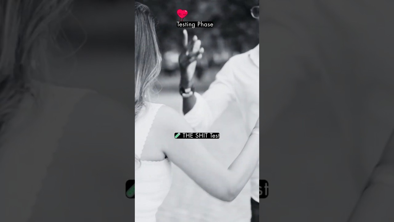 Testing Phase🧪 THE SHIT Test 