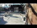 祐天寺と自宅前の公園の桜