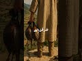 أو لم تؤمن؟