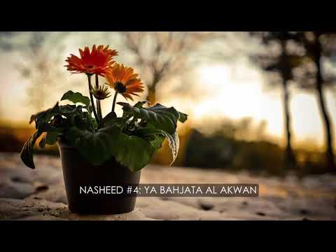collection-of-best-10-wedding-nasheeds-مجموعة-افضل-الاناشيد-للاعراس-without-music