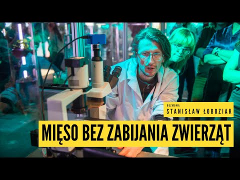 Wideo: Wkrótce Ludzie Będą Jeść Owady, Glony I Mięso Z Probówki - Alternatywny Widok