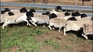 EC3A72F6 9A1C 4670 B597 5807939D38E9