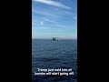 Trump: 'LOTS OF BOMBS WILL GO OFF' — Iran Ceasefire DIES Tonight #Shorts