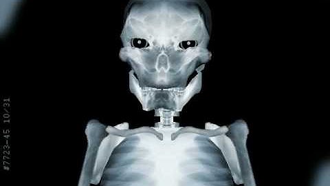 Effects from the Logitech Orbit AF video cam