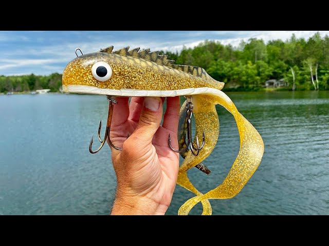 Throw BIG Plastic Lures For MONSTER Fish!!! 