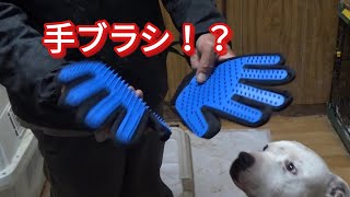 便利グッズ紹介 ブラッシング嫌いな犬に！