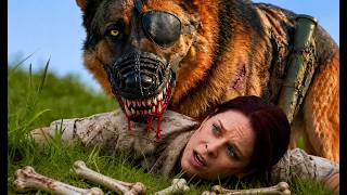 A Ferocious Military Dog Is Trained By A Girl After Everyone Failed