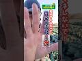 【悲報】プロでも稼げなくなります！農家の失敗５選 #農家 #家庭菜園 #新規就農